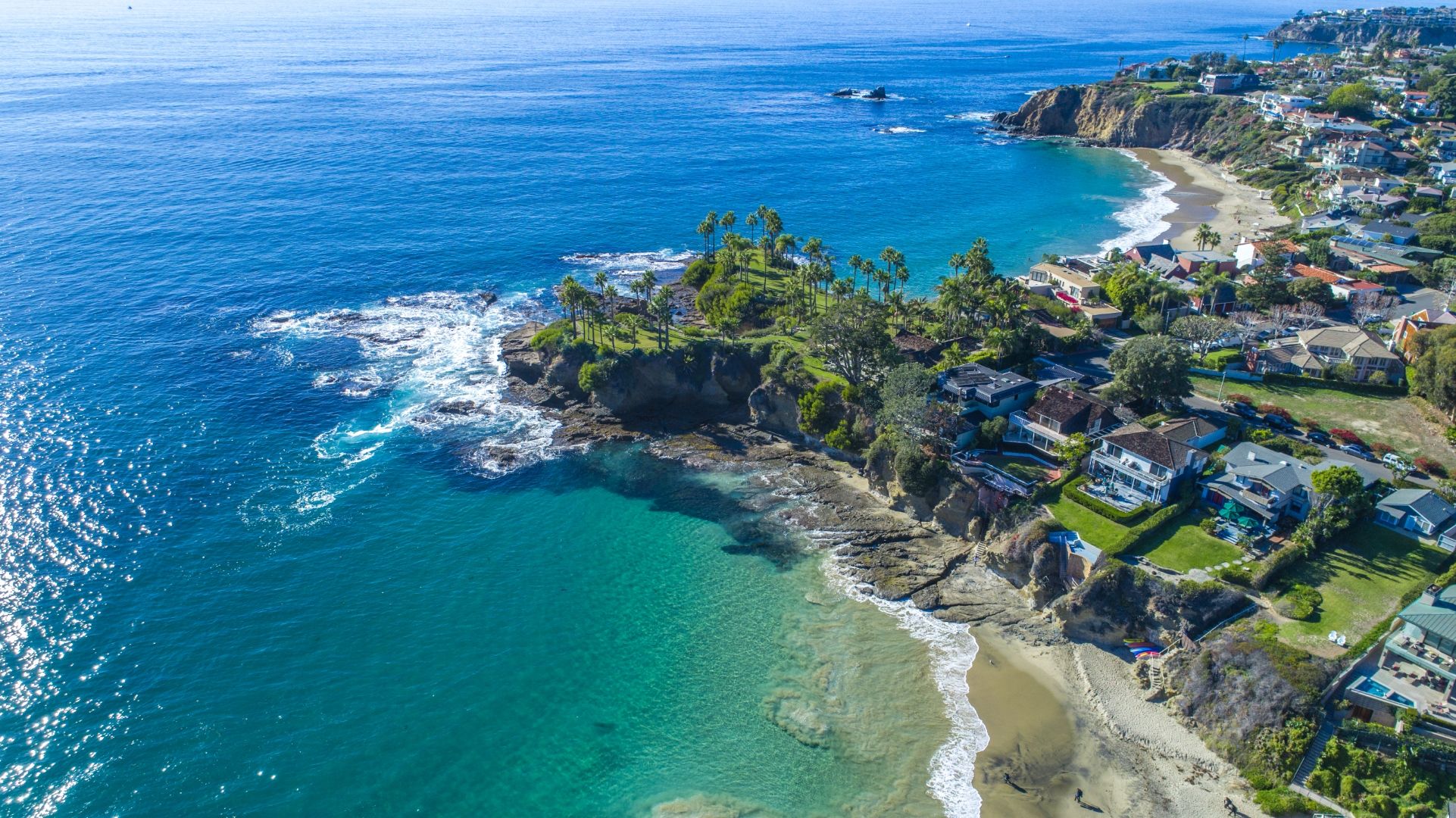 Aerial view of a Laguna Beach cove with palm trees, cliffside homes, and turquoise water